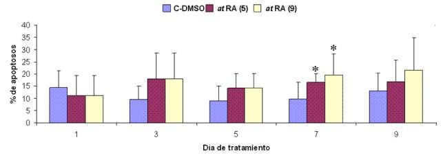 Figura 11. Efecto del tratamiento con at RA sobre el nivel de apoptosis en clulas IMR-32. Se representa el porcentaje de clulas apoptticas en cada da de tratamiento. (9) indica exposicin al at RA durante 9 das. (5) indica exposicin al at RA durante los 5 primeros das. Los valores que se muestran (media  desviacin tpica) se calcularon a partir de los resultados obtenidos tras la realizacin de 4 experimentos independientes realizados por duplicado. Los asteriscos indican diferencias significativas con respecto al control en cada da de tratamiento (*, p< 0,05).